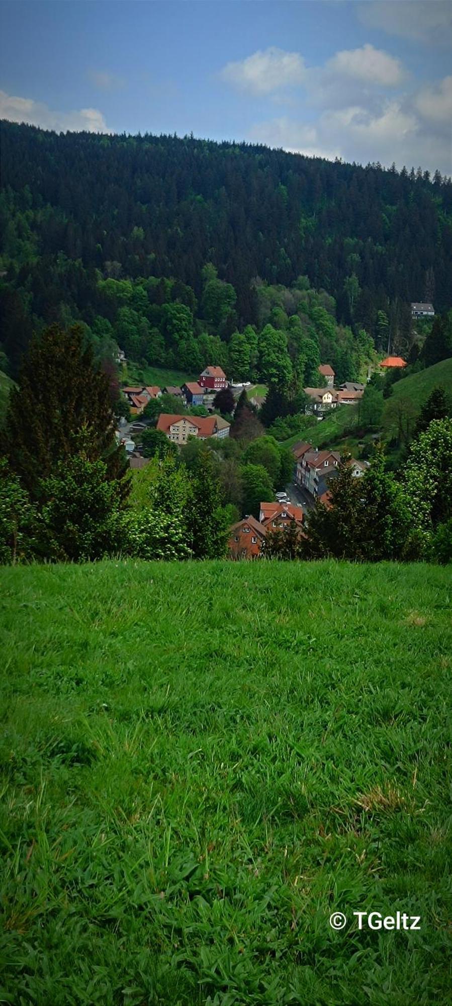 Ferienwohnungen Und Ferienhaus Hafermarkt Wildemann Exterior foto