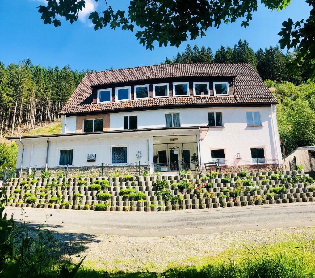 Ferienwohnungen Und Ferienhaus Hafermarkt Wildemann Exterior foto